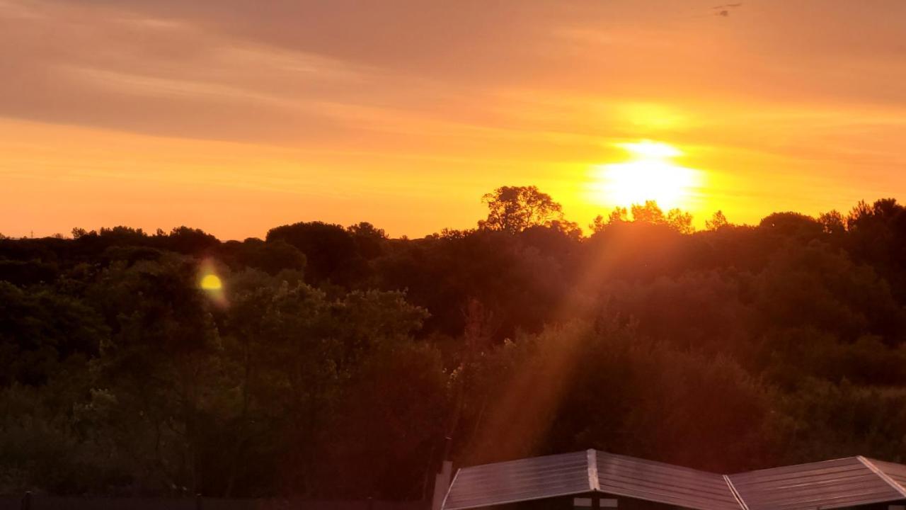 Gite Du Soleil Maison Lumineuse Avec Terrasse Solarium Parking Prive Sorède Zewnętrze zdjęcie