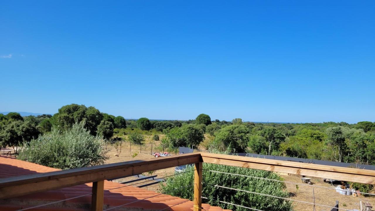 Gite Du Soleil Maison Lumineuse Avec Terrasse Solarium Parking Prive Sorède Zewnętrze zdjęcie